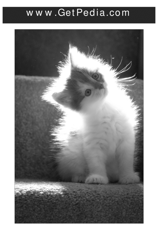 Product picture Complete guitar learner e book