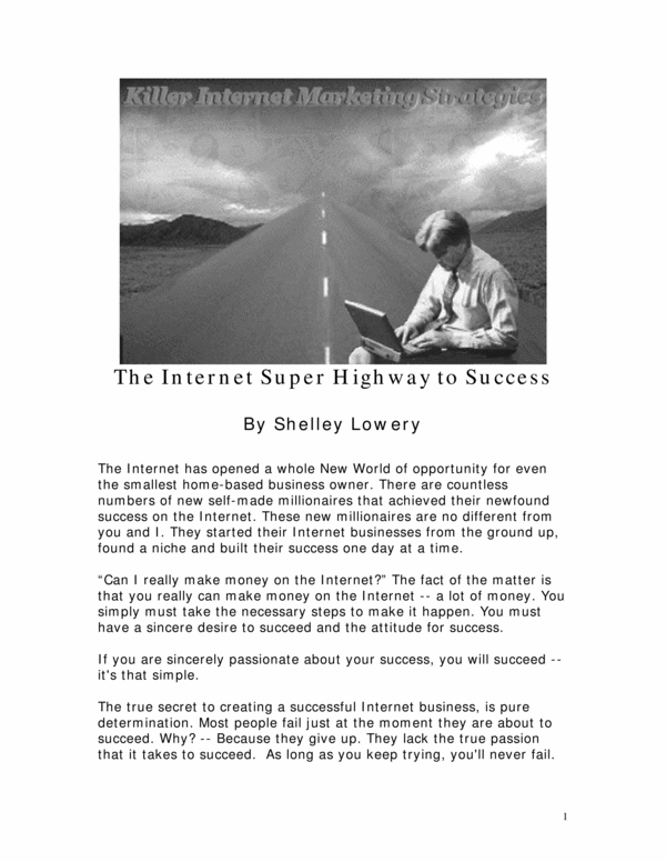 Product picture Killer internet marketing - guaranteed success