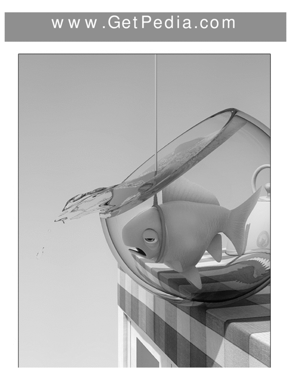 Product picture Complete learn the piano course 350+ pages !